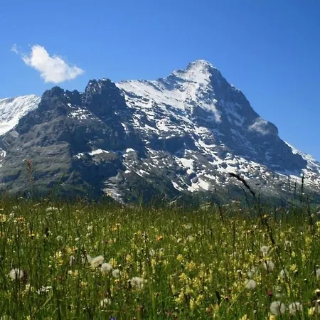 Schonegg 2 Bett Grindelwald