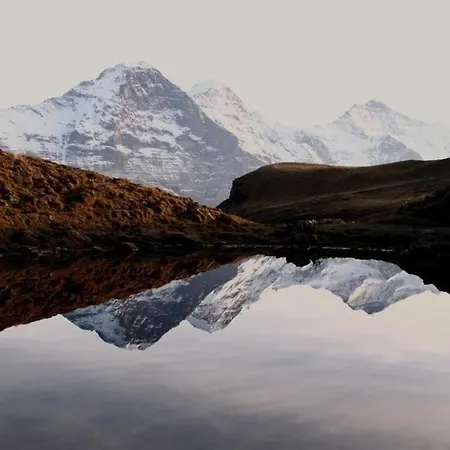 Schonegg 2 Bett Daire Grindelwald